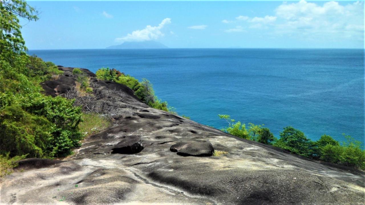 Seychelles Yellow Petals Anse Boileau Luaran gambar
