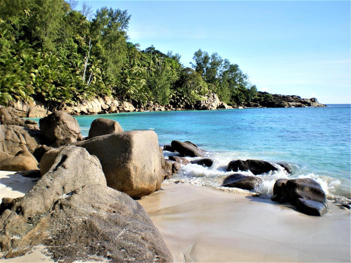 Seychelles Yellow Petals Anse Boileau Luaran gambar