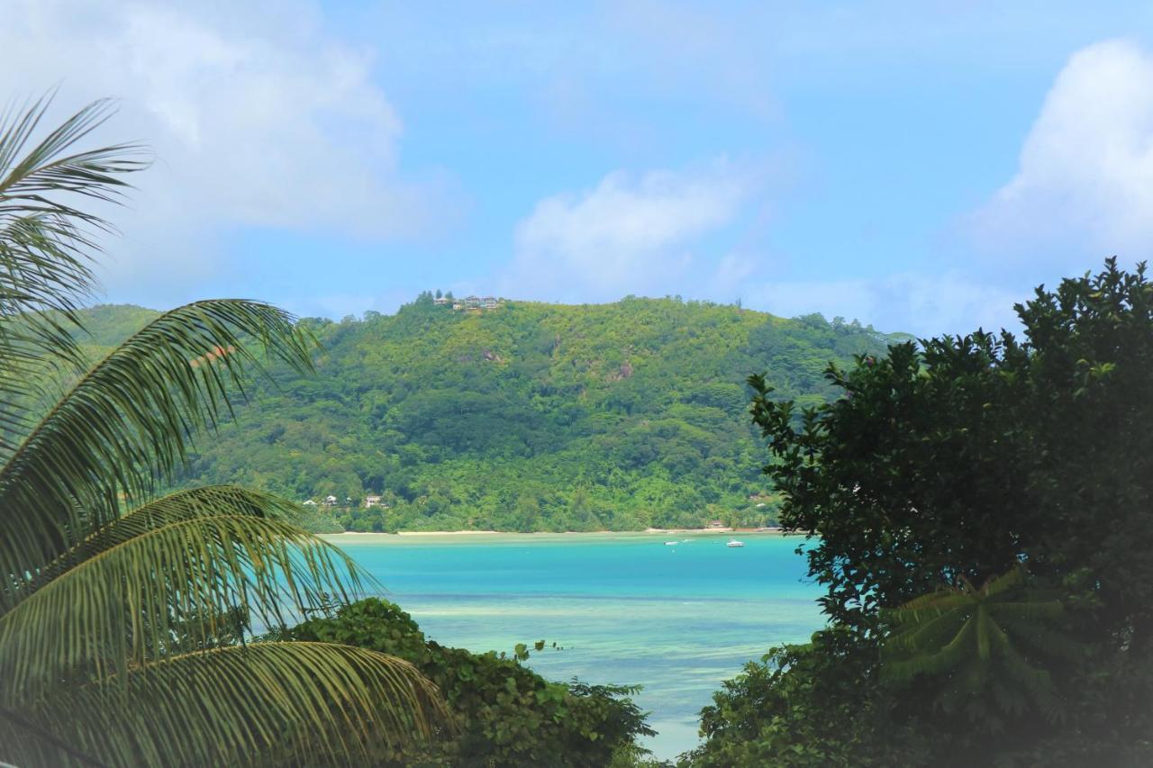 Seychelles Yellow Petals Anse Boileau Luaran gambar