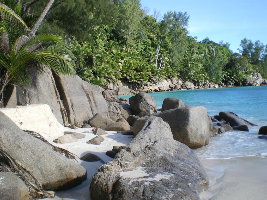 Seychelles Yellow Petals Anse Boileau Luaran gambar