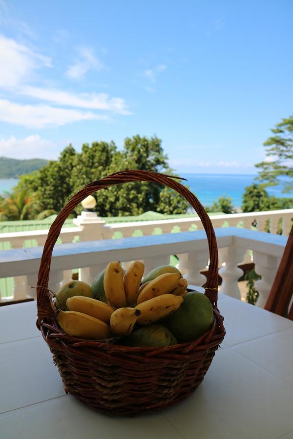 Seychelles Yellow Petals Anse Boileau Luaran gambar