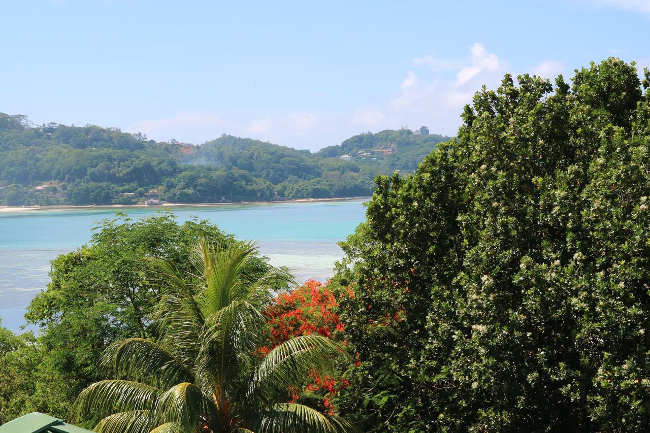 Seychelles Yellow Petals Anse Boileau Luaran gambar